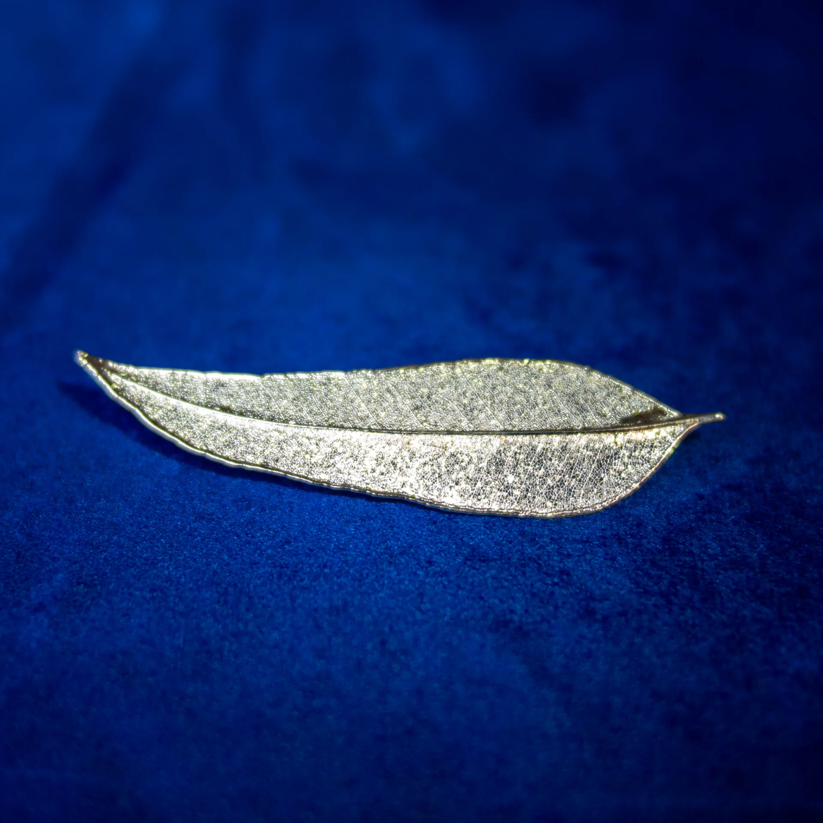 Eucalyptus Leaf Pin: Sterling Silver